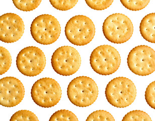 British digestive biscuit minis arranged neatly on white