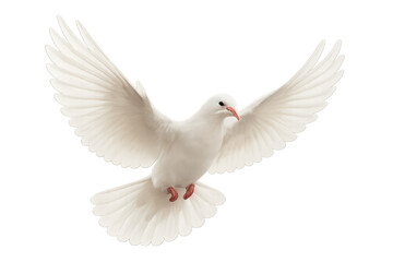 Fototapeta premium White dove flying with full wing spread, representing peace, spirituality, independence, and fresh starts. Transparent background