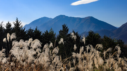 晩秋の富士山麓展望台から　天子山地毛無山の絶景　　富士河口湖町
