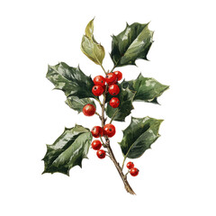Watercolor illustration of a holly branch with red berries and green leaves on a black background.