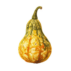 Watercolor painting of a decorative gourd with a long, curved stem on a black background