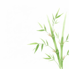 Naklejka premium Watercolor Green Bamboo Frame on Clean White Background