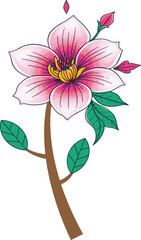 Lao flower, Dok Champa, Plumeria, tropical flower, floral, single flower, bloom, botanical, petal, bud, leaf, nature.