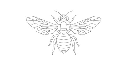 Obraz premium Detailed Line Drawing of a Bee
