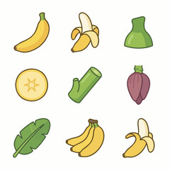 Banana Plant Vector Set – Fruit, Leaf, Blossom & Slice Icons