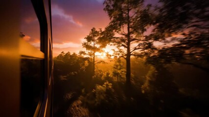 Golden Sunset Views Train Window Nature Sky Trees Light Peaceful Travel Wonder Breathtaking Warm Glow Forest Scenery - Powered by Adobe