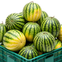 Freshly harvested watermelon in a crate ready for market