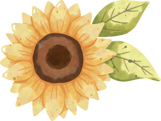 Sunflower Watercolor Illustration &ndash; Bright Botanical Clipart