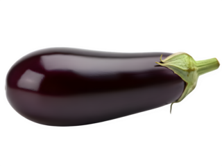 Single dark purple eggplant with green stem on black background