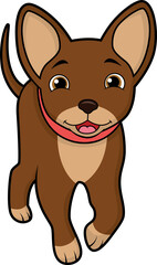 Cute chihuahua walking