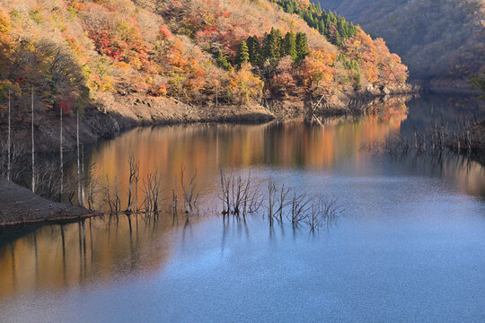 秋色ぞまる紅葉の風景
