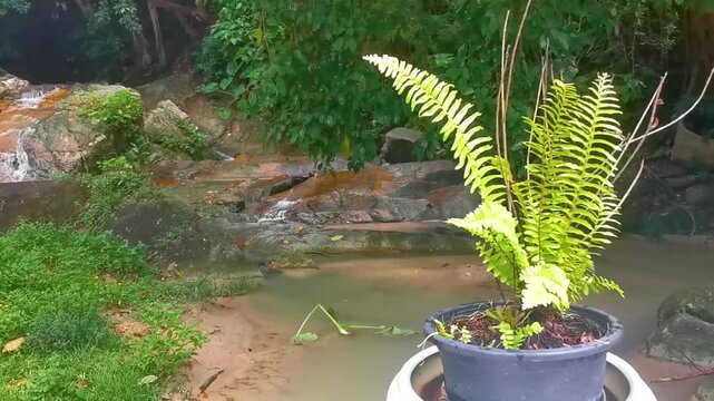 Wang Kee Oan Waterfall fall cascade in Patong Phuket Thailand.