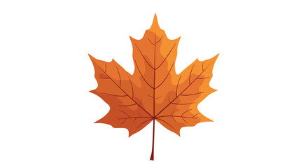 Obraz premium An orange maple leaf with visible veins and a stem on a white background.