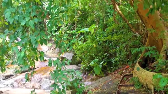 Wang Kee Oan Waterfall fall cascade in Patong Phuket Thailand.
