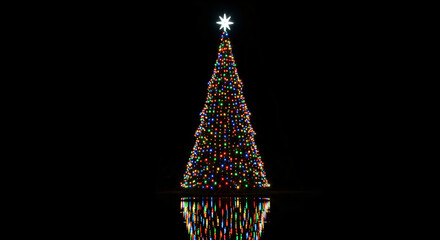 Illuminated Christmas tree at night