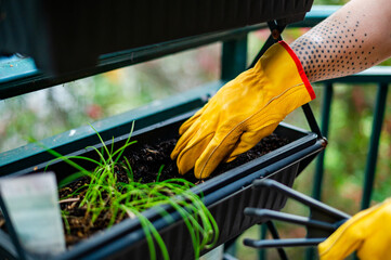 A man wearing yellow gloves work on a vertical garden on an apartment balcony