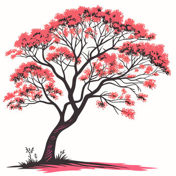 rambai tree on white background 