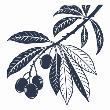 rambai on white background 