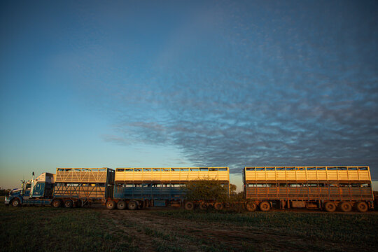 Road train side on in morning light under big sky