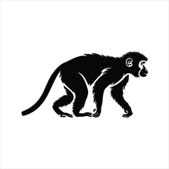 Fototapeta premium Monkey Icon – Wild Animal Monkey Silhouette Vector