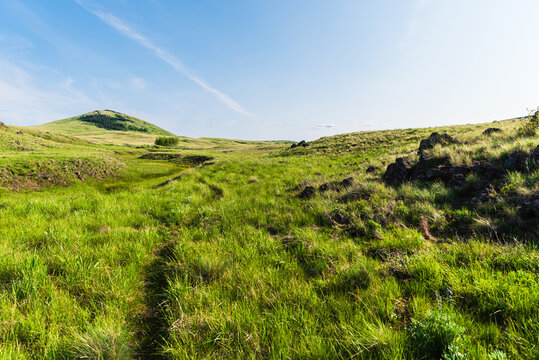 Trail Through Lush Green Prairie