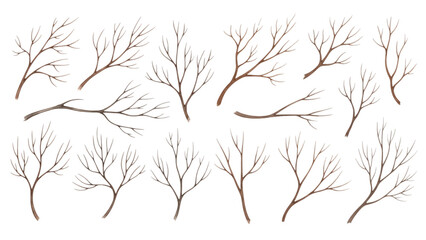 A collection of hand-drawn, leafless tree branches, isolated on a transparent background for design.