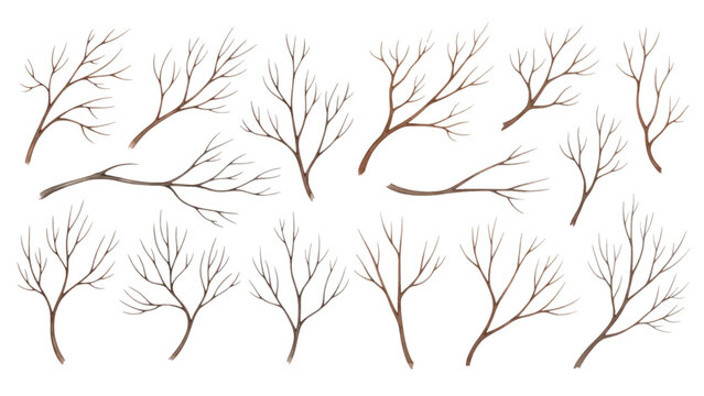 A collection of hand-drawn, leafless tree branches, isolated on a transparent background for design.