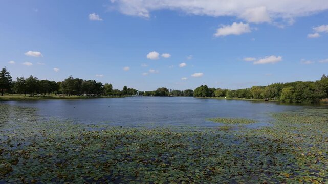 水元公園　小合溜

