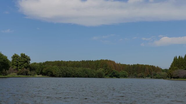 水元公園　小合溜
