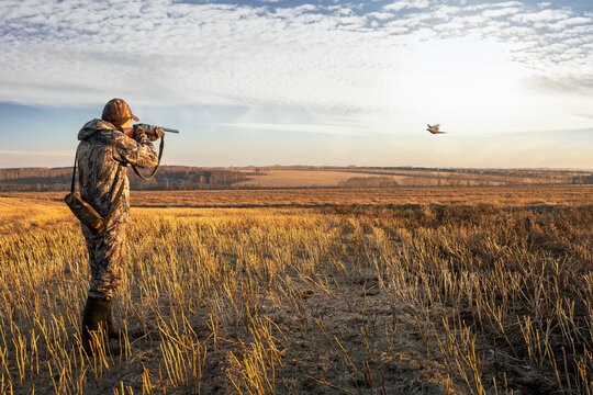 Hunter in camouflage aiming with rifle on pheasant. Bird hunting. Autumn hunting season.