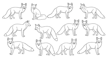 Elegant fox outlines, perfect for coloring books and woodland themed designs