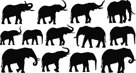 Set of twelve black elephant silhouettes standing and walking with trunks up, isolated on white background, vector illustration collection for wildlife and safari concepts.