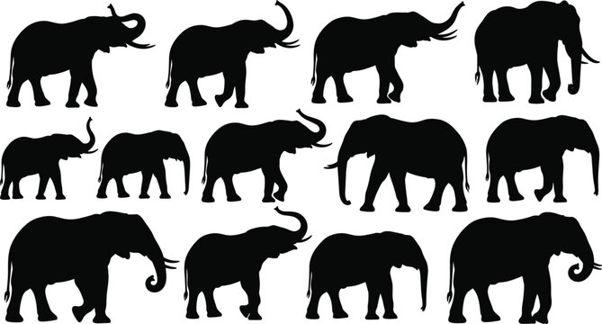 Set of twelve black elephant silhouettes standing and walking with trunks up, isolated on white background, vector illustration collection for wildlife and safari concepts. - Powered by Adobe