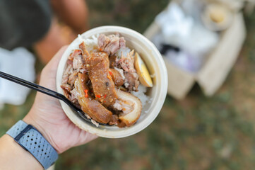 Pork leg rice, Thai food