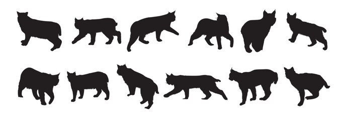 bobcat silhouette set