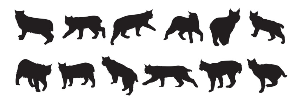 bobcat silhouette set