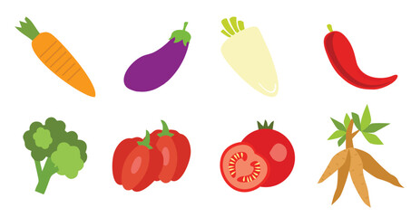 Cassava Vector illustration