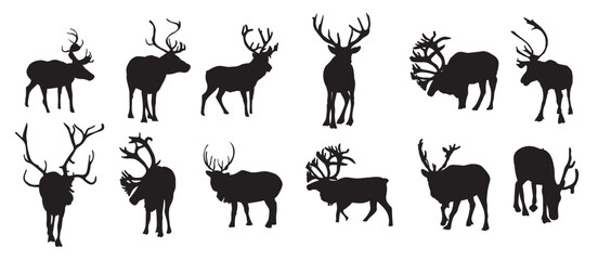 Set of Caribou vector illustration