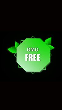 Fresh produce branding with animated gmo free green label vertical video. Clean modern gmo free product label motion graphics vertical video.