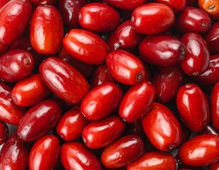 A close-up view of many vibrant, shiny red berries