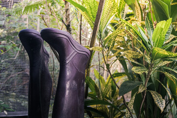 pair of dark rubber boots resting upside down, perhaps against a ledge or window, in a lush, tropical or jungle environment. The dark, smooth texture of the boots contrasts sharply with the vibrant, t