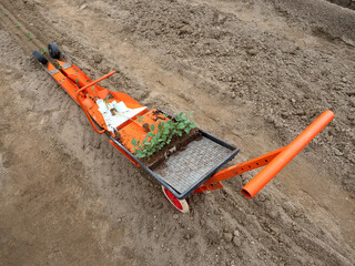 野菜苗の移植機 