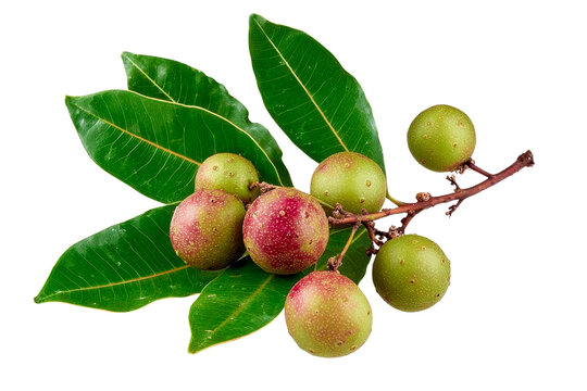 mombin fruits with leaves isolated on transparent background