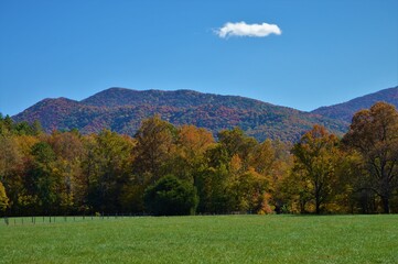 Fall Foliage Landscape in the Great Smoky Mountains
