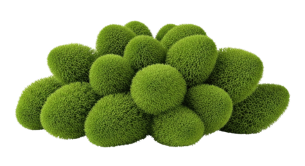 Pile of green mossy rocks transparent background cutout png