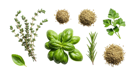 Assortment of fresh herbs and spices transparent background cutout png