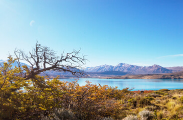 Autumn in Patagonia