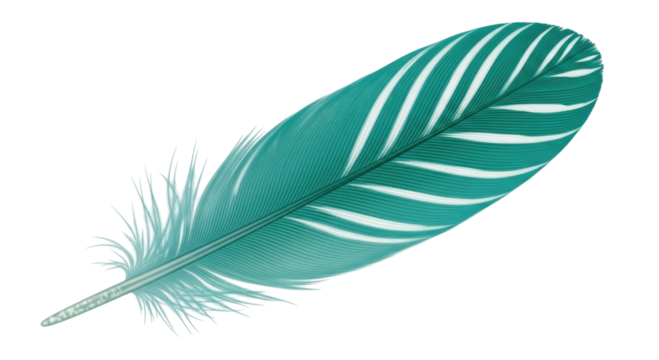 Teal feather with dark stripes transparent background cutout png
