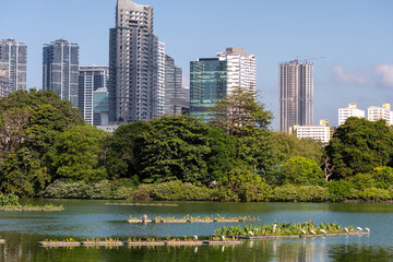 Modern Colombo skyline overlooking a lakeside with floating islands and egrets, Sri Lanka