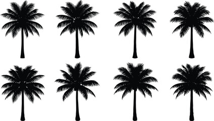 Set of Black Palm Tree Silhouette Icons Vector Illustration